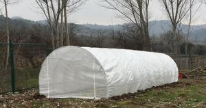 Aula Viva – Proyecto Invernadero